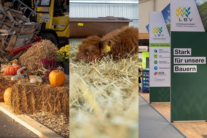 Impressionen LWH 2026 LGG Steuerberatung