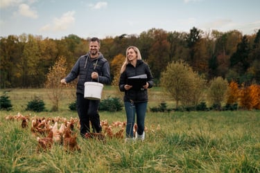 Eine Mitarbeiterin läuft mit einem Mandanten im Außendienst über ein Feld auf dem Hühner herumlaufen.